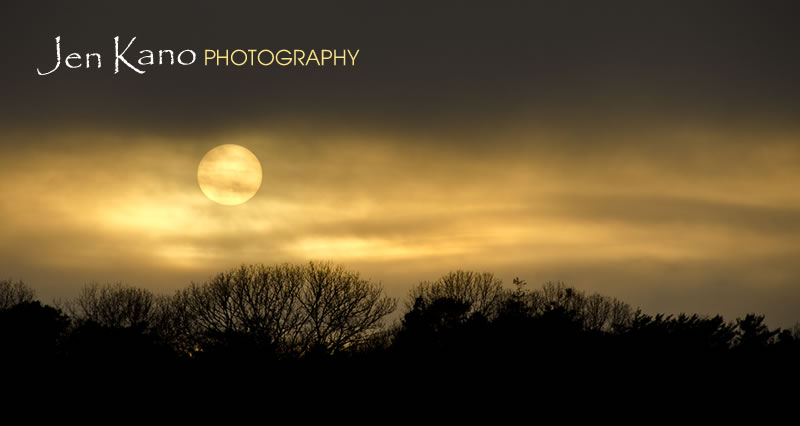 Jen Kano Photography