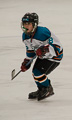 photograph Hockey player